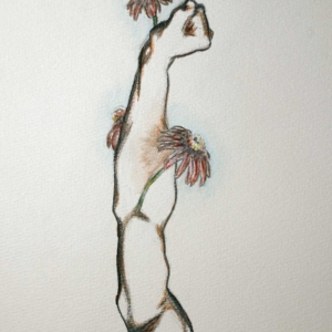 Healing Reach, a pencil and watercolour painting from the Creature Doodles series by Canadian artist Tanja Groos.