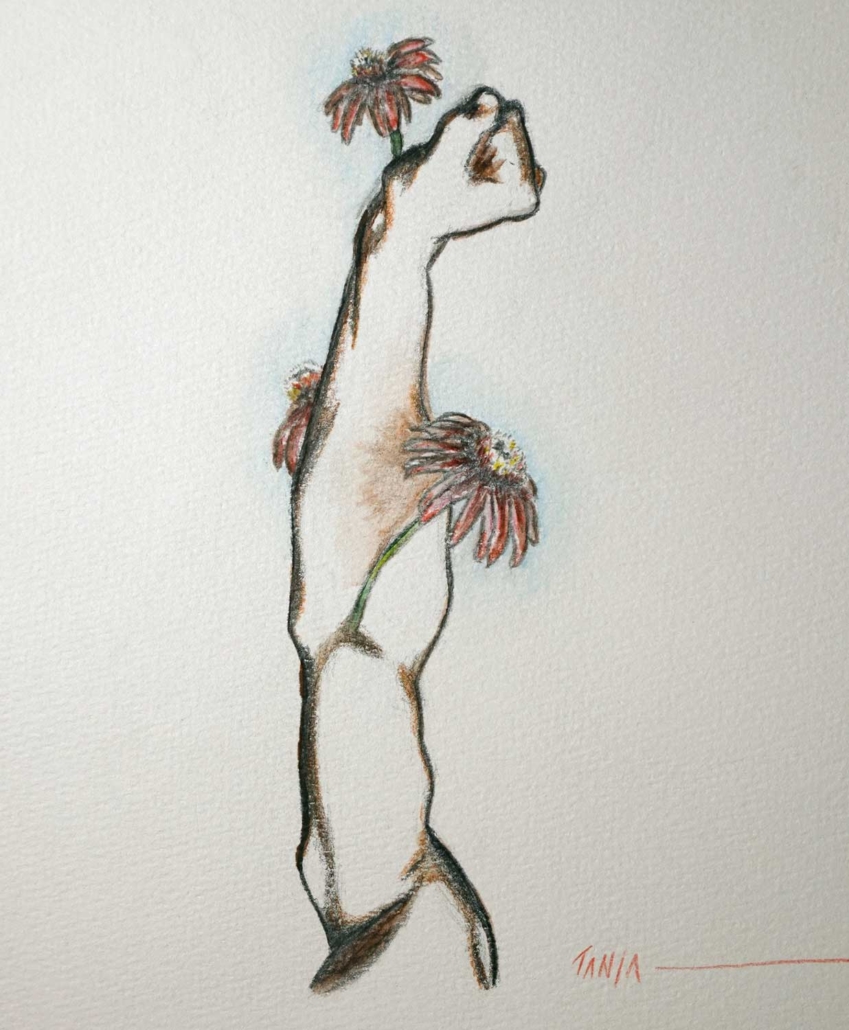 Healing Reach, a pencil and watercolour painting from the Creature Doodles series by Canadian artist Tanja Groos.
